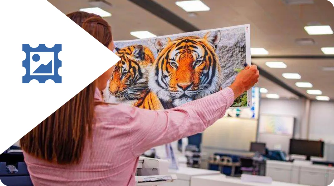 A woman holding up an image of two tigers.